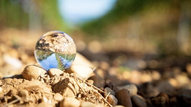 Clairmont & Cave de Tain : deux coopératives engagées